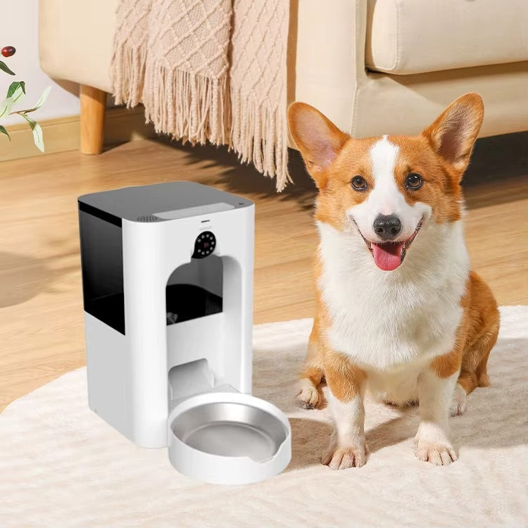 Comedero Automático Inteligente – Cámara 1080p + Control App